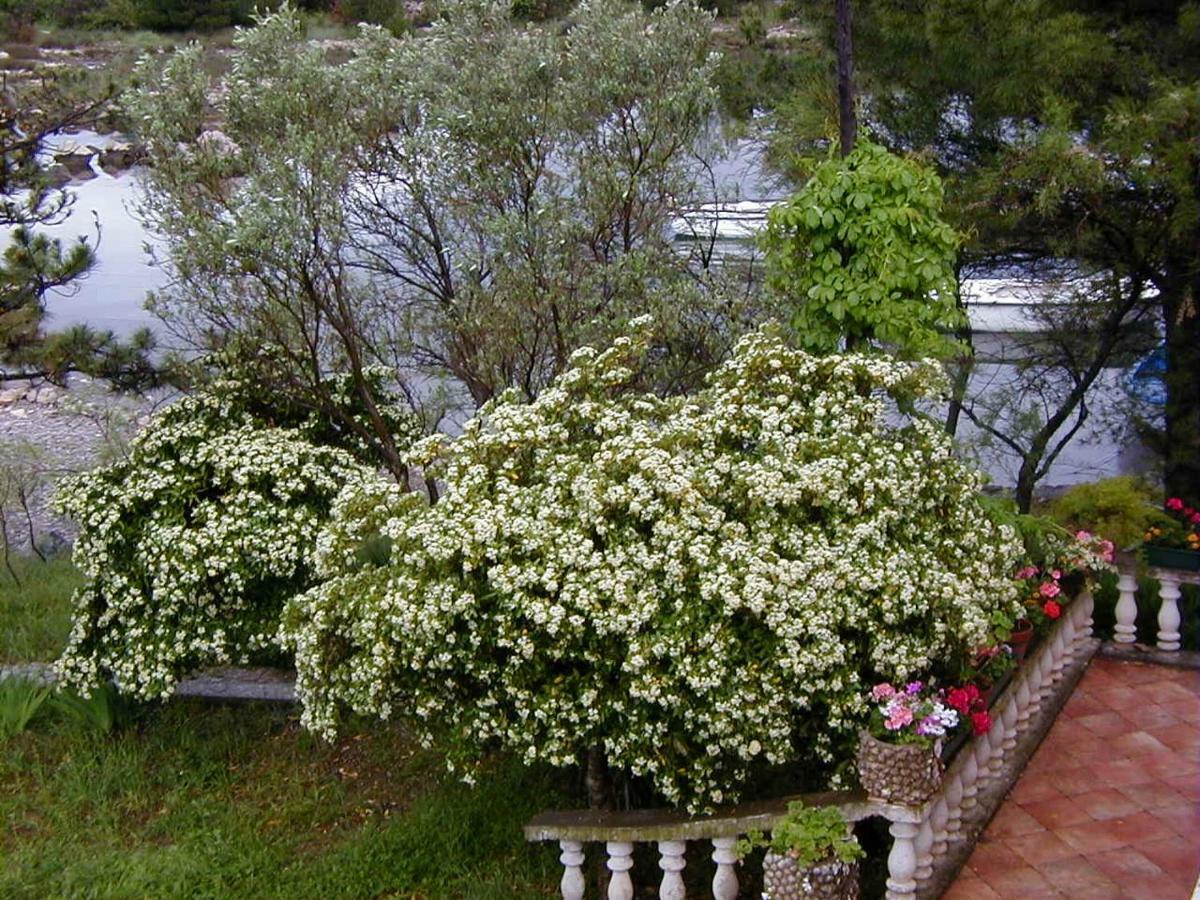 Villa Jaz Seline Exterior photo